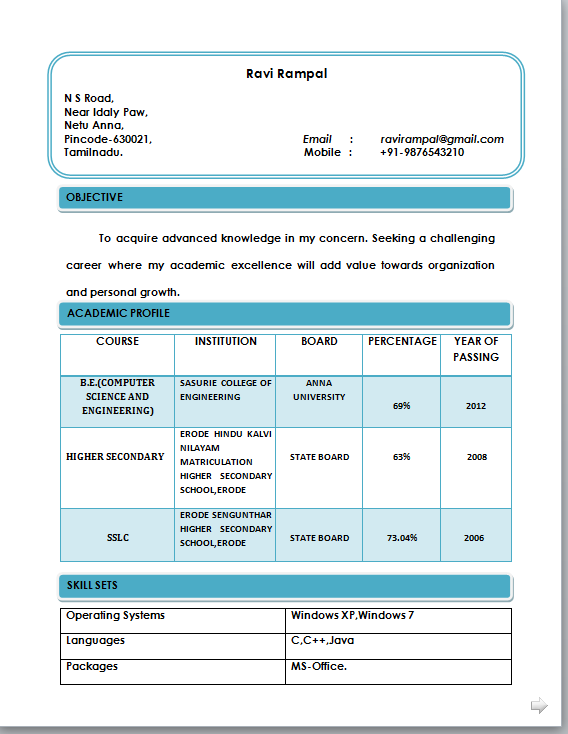 Professional resume formats word